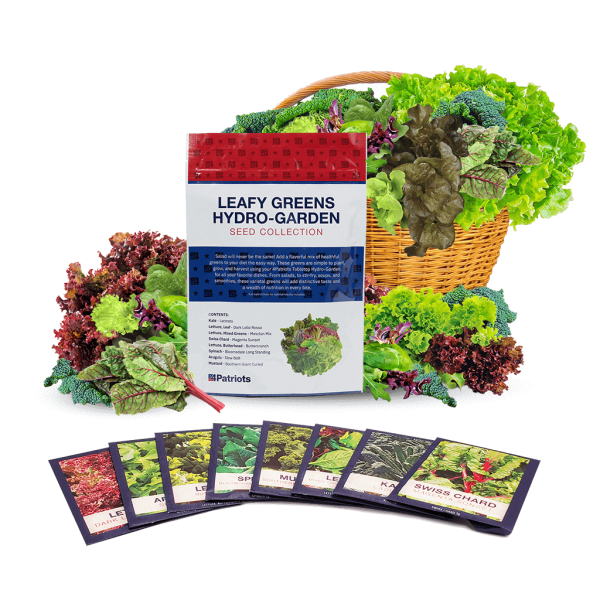 LeafyGreens Hydro-Garden Seed Kit For Discount