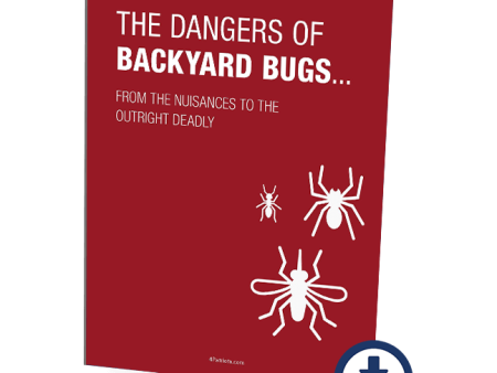 The Dangers of Backyard Bugs  Survival Guide Online Sale