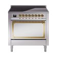 Ilve UNI366QNMPSSG Ilve Uni366Qnmpssg Nostalgie Ii Noblesse 36  Induction Range (Solid Door, Stainless Steel, Brass) Online Sale